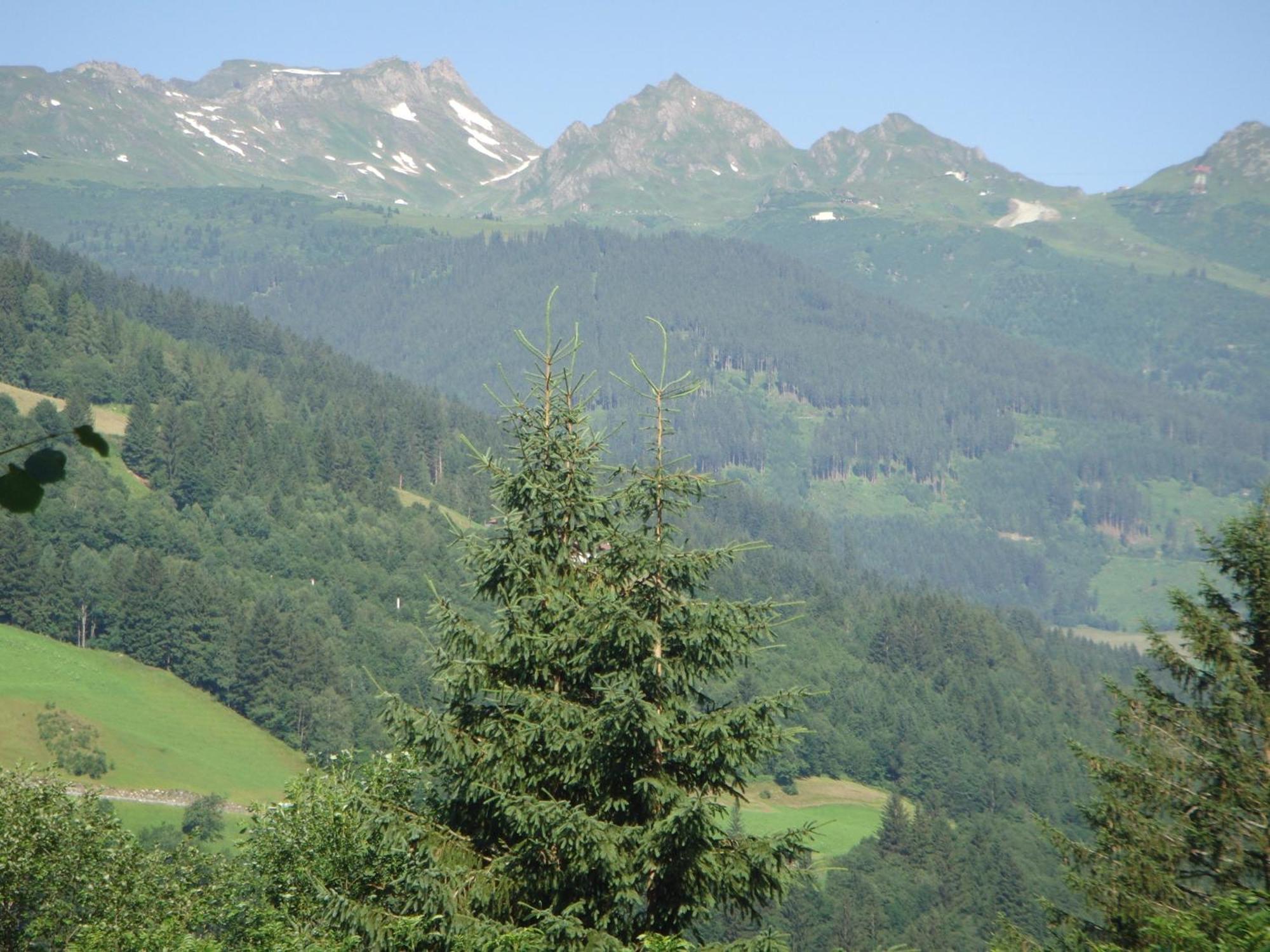 Ferienhaus Hoellbacher Bad Gastein Exterior photo